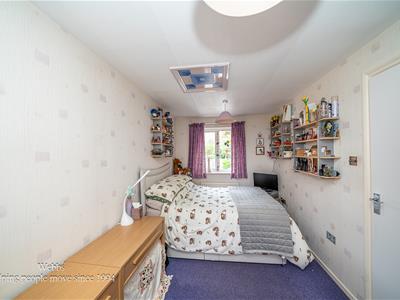 Picture 19